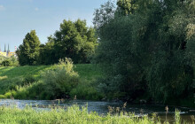 Olomouc čelí vlnám veder. Parkovací místa stále vítězí nad výsadbou zeleně