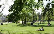 ANKETA: Horké letní dny by mohlo zchladit přidání zeleně. Co si o tom myslí občané?