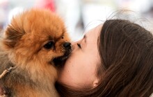 Mezinárodní výstava psů zaplní výstaviště Flora