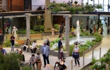 Na letošní letní Floru dorazilo více návštěvníků než před pandemií