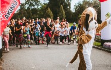 Běh a pochod pro útulky pomůže zvířatům