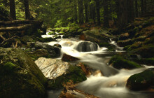 V Jeseníkách zemřela turistka z Prahy
