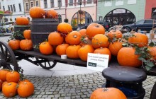 Podzimní farmářské trhy v Hranicích nabídnou nejen dobroty