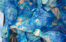 VIDEO: Čtyři tuny kebabu a tuna kuřecího bez chlazení. Celníci zadrželi nelegální přepravy