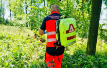 Rulík nebo borůvka? Seniorka se při sběru otrávila