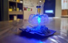 Houby mikroskopické, světélkující i ukecané. Pevnost poznání představí houby očima vědců