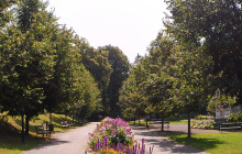 Podzimní aleje čekají na objevení, nominujte svou oblíbenou