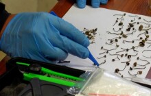 Policisté a celníci si v pátek došlápli na dealery a uživatele drog v Olomouci