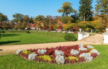 Přerovský Michalov mění tvář. Po 25 letech přichází zásadní proměna