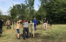V prostějovském lesoparku přibudou nové stromy
