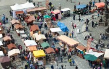 Výstavy, Ekojarmark i putování krajinou, to nabídnou Ekologické dny v Olomouci