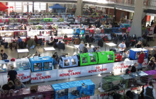 Do Olomouce míří dvě mezinárodní výstavy koček: krásní mazlíčci i nový domov pro opuštěné