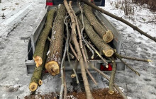 Nalezený vozík plný dřeva překvapil policisty. Muž tvrdil, že už jej takhle našel