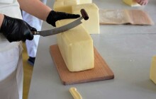 V Kostelci na Hané vznikla nová rodinná sýrárna Rols. Moravský výběrový sýr vyrábí z mléka svých vlastních krav v nejlepší kvalitě