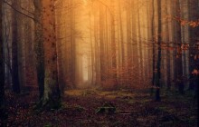 Víkend přinese ranní mlhy, ale také teploty okolo dvaceti stupňů Celsia