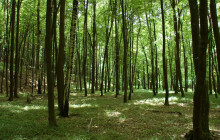 Sluníčko probouzí i klíšťata, nezapomeňte se chránit. Kde si dát největší pozor?