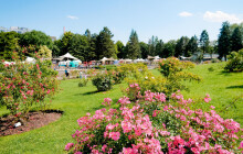 Zahrádkářské tipy z Kostelce na Hané: Klíčová je závlaha