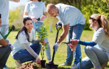 Kde si vyzkoušet dobrovolnictví? Olomoucký kraj nabízí několik desítek možností na zkoušku
