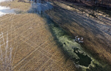Komáří kalamitu v Litovelském Pomoraví pomůže zpřesnit systém univerzity