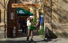 Přijďte si pro pokojovku nebo jinou rostlinu. Kytky ve dvoře podpoří lidi se znevýhodněním