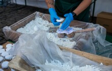 FotoReport: Tvarůžkový festival provoněl centrum Olomouce