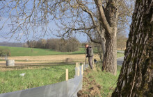 Stovky zábran, stovky zachráněných žab. Ve Šternberku pomáhají dobrovolníci