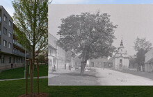 Olomouc v čase: K dominantě hřbitova stále vede alej, kostelíky jsou obestavené paneláky