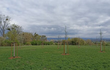 Z bývalého brownfieldu vzniká nové místo pro relax i procházky. Slavonínské svahy ožívají