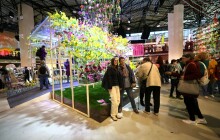 ANKETA: Tóny Flóry pod lupou. Jaké jsou první dojmy návštěvníků?