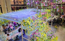 Hudba, barvy a ještě více barev: Letošní Flora láká na originalitu