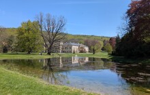 Tady ryby nepatří. Do zámeckého rybníku někdo vysadil ryby