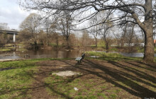 Revitalizace Pivovarského rybníčku v Prostějově se blíží