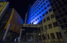 Srážek se zvěří přibývá. Olomoucký kraj hlásí za půl roku přes 800 nehod