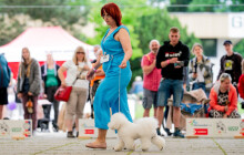 Florinka představí psí krasavce všech plemen, láká i na zábavný program pro děti