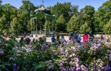 Promenádní koncerty se vracejí do Smetanových sadů. Léto v Olomouci rozezní swing, jazz i muzikálové melodie