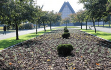 1 300 nových keřů přibylo na přerovském hřbitově. Přípravy na Dušičky vrcholí