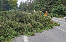 Při odstraňování padlého stromu na trati v Hanušovicích zahynul drážní hasič