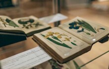 Potěžkejte největší šišku na světě a zkuste si vyrobit herbář na Magickém herbáriu