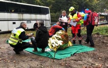 Pes Cora našel ztraceného muže, šlo o cvičení