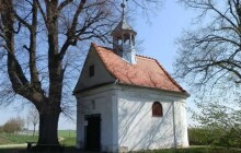 V Prostějovské části Čechůvky vznikne kus přírody. Je připraveny organizovaná výsadba stromů