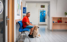 Na úřad i se čtyřnohým parťákem. Zábřeh vítá domácí mazlíčky