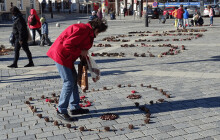 Přerované tvoří land art. Zapojit se mohou i kolemjdoucí