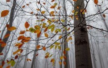 Počasí na víkend: Ve vyšších polohách se objeví sněhánky
