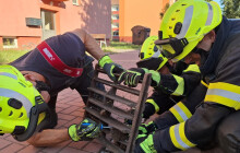 Hasiči zachraňovali z kanálového poklopu ježka