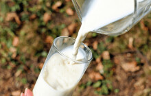 Olma kvůli mikrobiální kontaminaci stahuje z trhu čerstvé mléko v PET lahvích