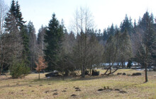 Těží ji jen pár dní v roce. Karlova Studánka otevře vzácnou proceduru dalším lidem
