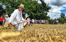 Hanácké muzeum v přírodě v Příkazech ožije Dožínkami