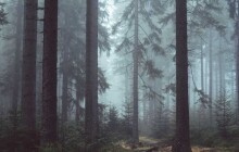 Počasí na víkend: O víkendu se teplota dostane i k 18 °C