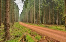 Lesy ČR chystají 3 tisíce vodních opatření. Mají brzdit sucho i povodně