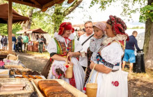 Dožínky Olomouckého kraje 2026. INÉ KAFE, atrakce pro děti a vstup zdarma